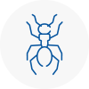 Ant Removals In Stockbridge