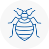Bed Bug Extermination In Stockbridge