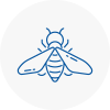 Bee Nest Removal Stockbridge