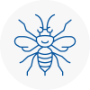 Stockbridge Hornet Nest Removals