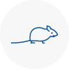 Mice Exterminators In Stockbridge