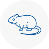 Rat Control Stockbridge