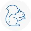 Stockbridge Rodent Removals