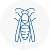 Stockbridge Wasp Nest Removal